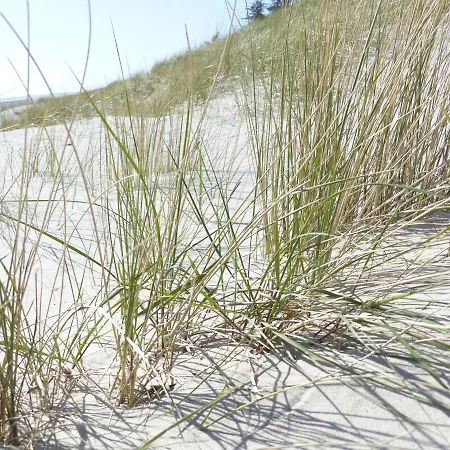 Haus Uthlande Haus Uthlande Whg 46 Watten Blick Apartament